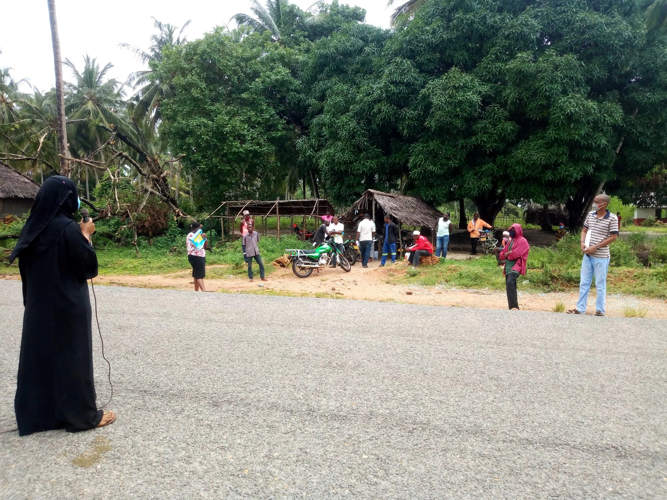 Peace Tree Network’s